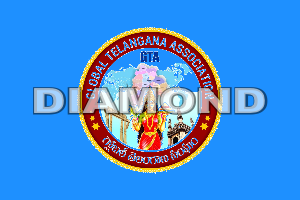 Diamond Sponsor 1